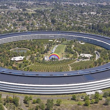 Wondering why Warren whacked Apple?