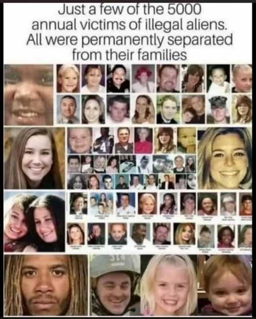 victims of migrant crime